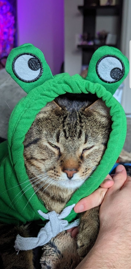 Entry image for Tombo. Clicking this image will show a larger photo