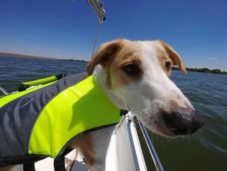 Entry image for Bobby Mac. Clicking this image will show a larger photo