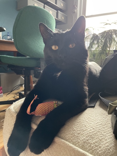 Entry image for Bob!. Clicking this image will show a larger photo