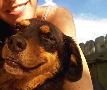 Entry image for Jack. Clicking this image will show a larger photo