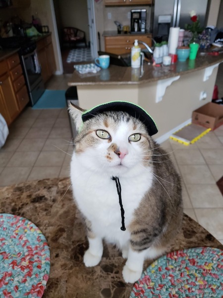 Entry image for Kody. Clicking this image will show a larger photo