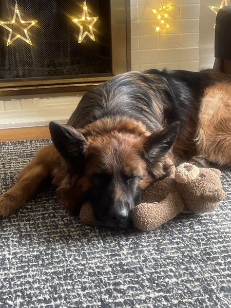 Entry image for Raven. Clicking this image will show a larger photo