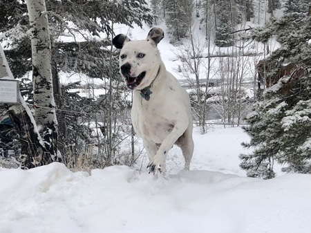 Entry image for Brue . Clicking this image will show a larger photo