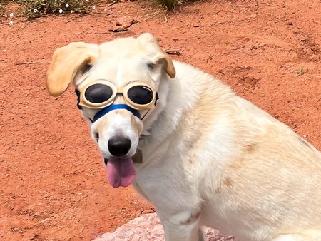 Entry image for Flat Stanley Zeke. Clicking this image will show a larger photo