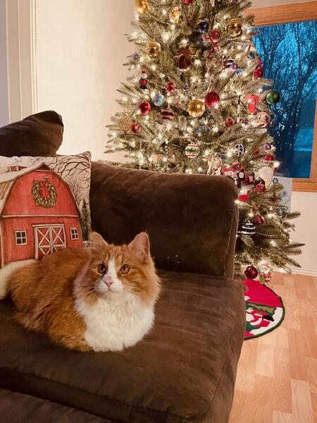 Entry image for Jack. Clicking this image will show a larger photo