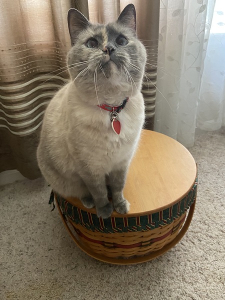 Entry image for VALERIE. Clicking this image will show a larger photo