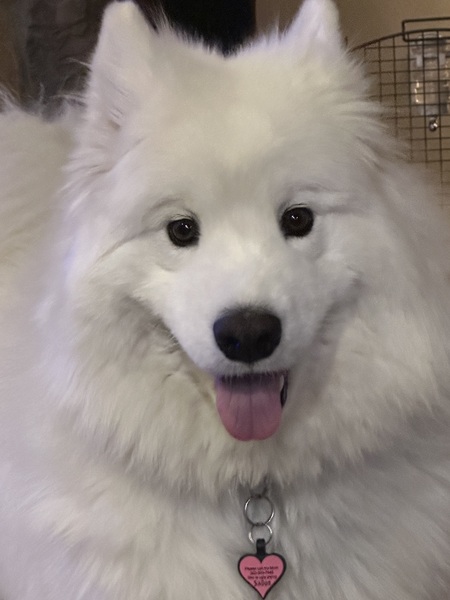 Entry image for Chilly. Clicking this image will show a larger photo