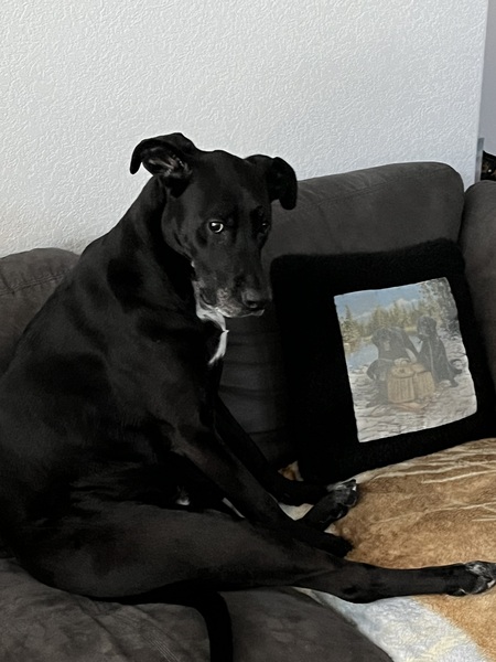 Entry image for Libby. Clicking this image will show a larger photo