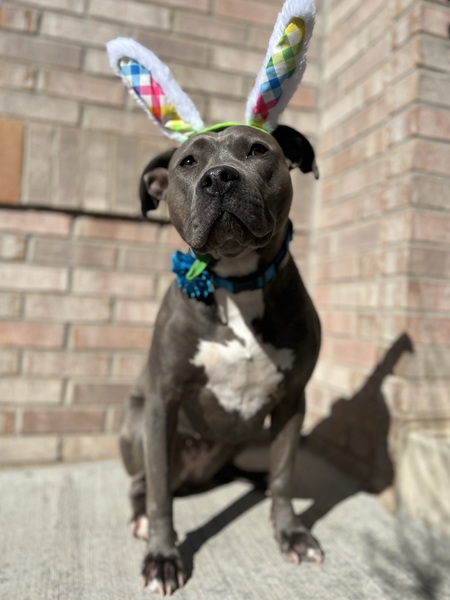 Entry image for Winnie. Clicking this image will show a larger photo