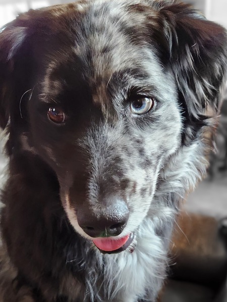 Entry image for Oakley. Clicking this image will show a larger photo