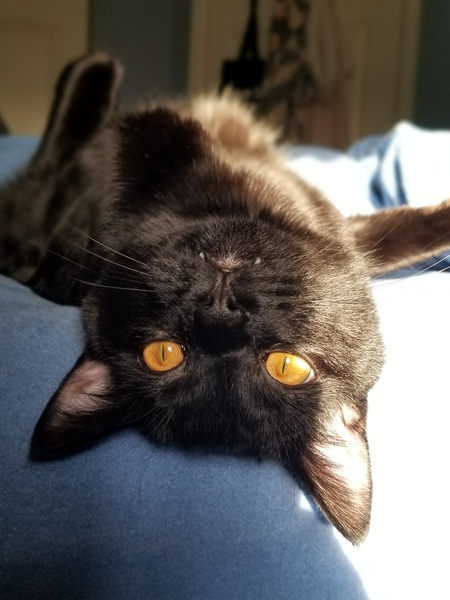 Entry image for Trip. Clicking this image will show a larger photo