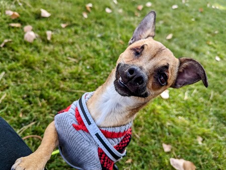 Entry image for Eli. Clicking this image will show a larger photo