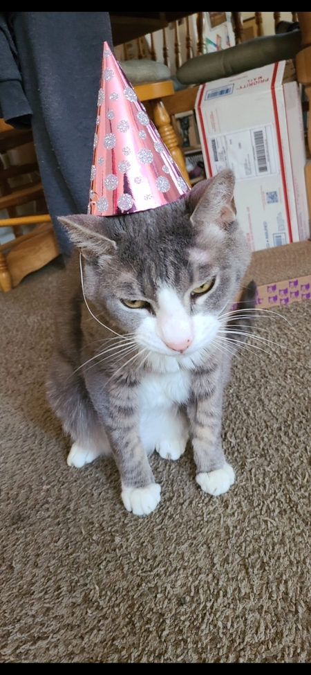 Entry image for Ray. Clicking this image will show a larger photo