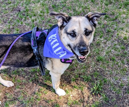 Entry image for Bella. Clicking this image will show a larger photo