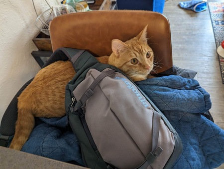 Entry image for Lance. Clicking this image will show a larger photo