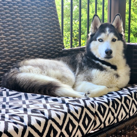 Entry image for Tikaani. Clicking this image will show a larger photo