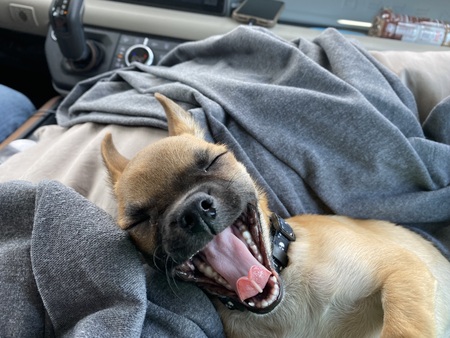 Entry image for TonyRomo. Clicking this image will show a larger photo