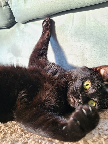 Entry image for Betty Jean. Clicking this image will show a larger photo