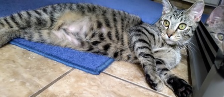 Entry image for K.C.. Clicking this image will show a larger photo