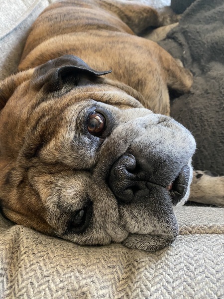 Entry image for Hesco . Clicking this image will show a larger photo