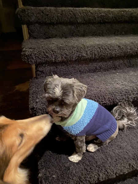 Entry image for Tevin/lolly. Clicking this image will show a larger photo