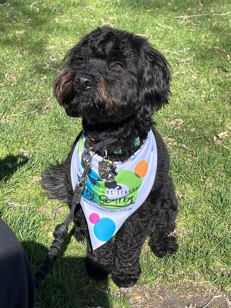 Entry image for Toothless. Clicking this image will show a larger photo