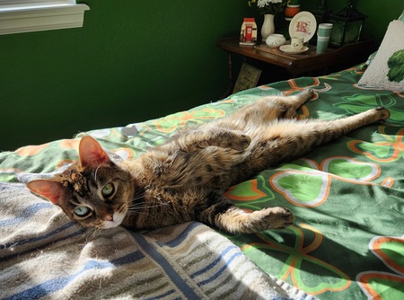 Entry image for Victoria. Clicking this image will show a larger photo