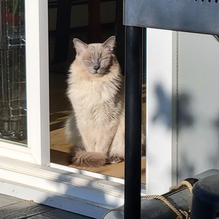 Entry image for Smurfy. Clicking this image will show a larger photo