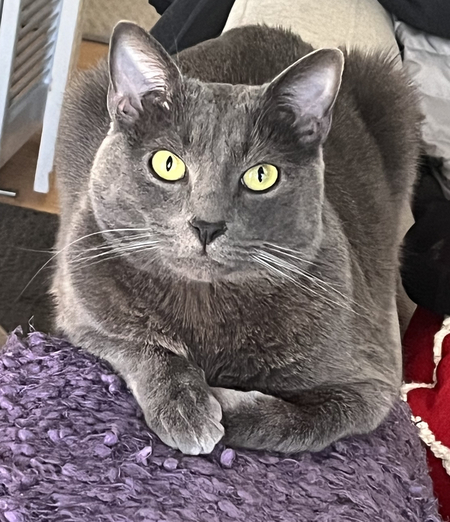 Entry image for Mikko. Clicking this image will show a larger photo