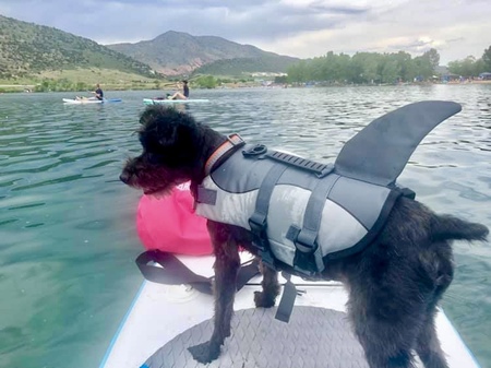 Entry image for Bubba. Clicking this image will show a larger photo