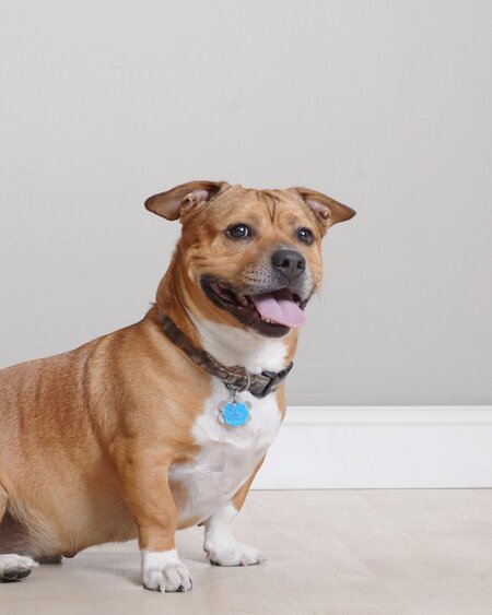 Entry image for George. Clicking this image will show a larger photo