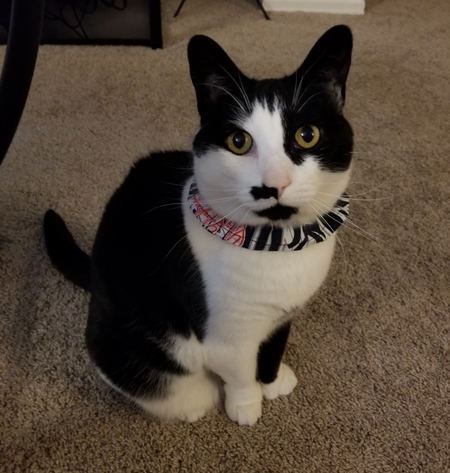 Entry image for Tux. Clicking this image will show a larger photo