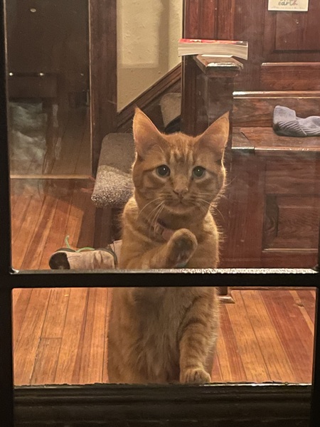 Entry image for Kit Kat. Clicking this image will show a larger photo