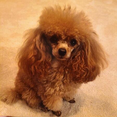 Entry image for Cuddles. Clicking this image will show a larger photo