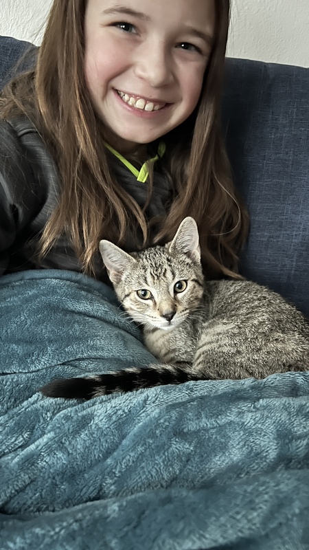 Entry image for Wrigley (originally named Sage). Clicking this image will show a larger photo