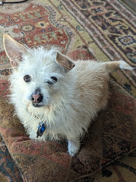 Entry image for TJ. Clicking this image will show a larger photo