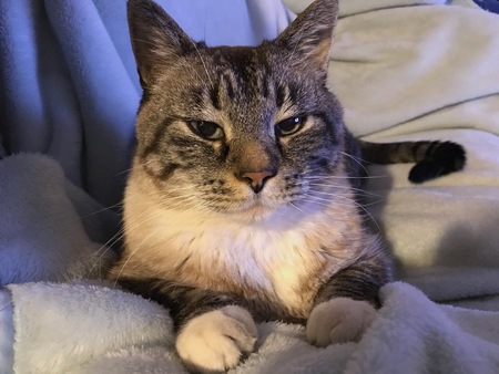 Entry image for Diego. Clicking this image will show a larger photo