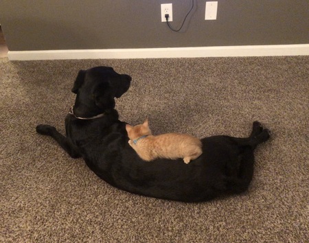 Entry image for Jazmine. Clicking this image will show a larger photo