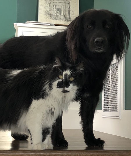 Entry image for Cash. Clicking this image will show a larger photo