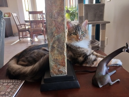 Entry image for Zephyr. Clicking this image will show a larger photo