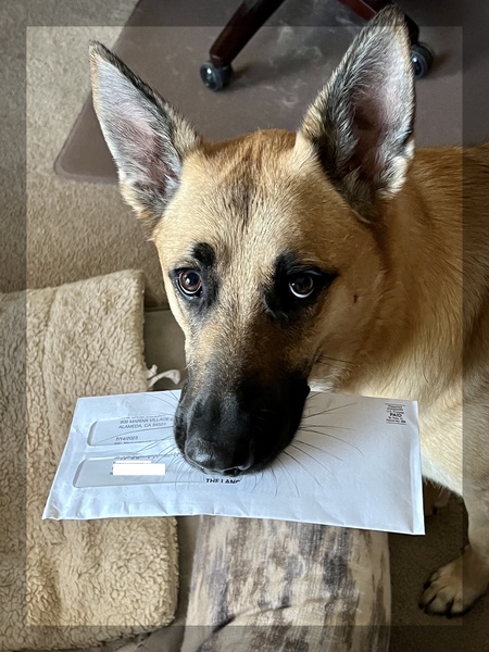 Entry image for Honey. Clicking this image will show a larger photo