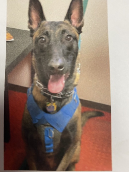 Entry image for Diego. Clicking this image will show a larger photo