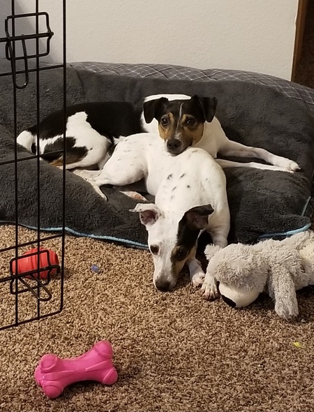 Entry image for Angel & Moonlight . Clicking this image will show a larger photo