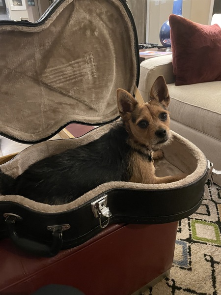 Entry image for Zack. Clicking this image will show a larger photo