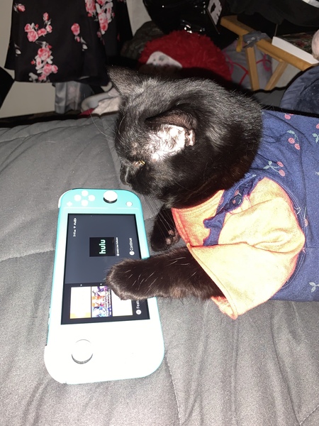 Entry image for Chloe Anastasia . Clicking this image will show a larger photo