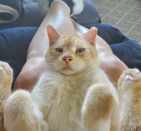 Entry image for Nate the Nerd. Clicking this image will show a larger photo