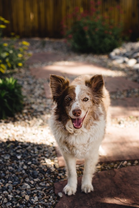 Entry image for Chilly . Clicking this image will show a larger photo