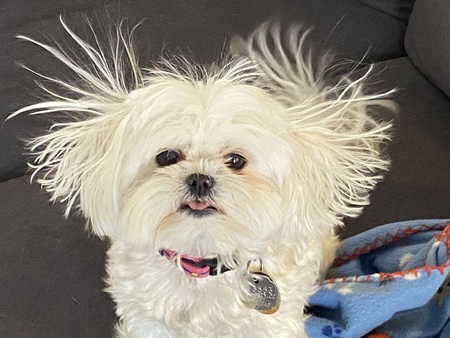 Entry image for Daisy May. Clicking this image will show a larger photo