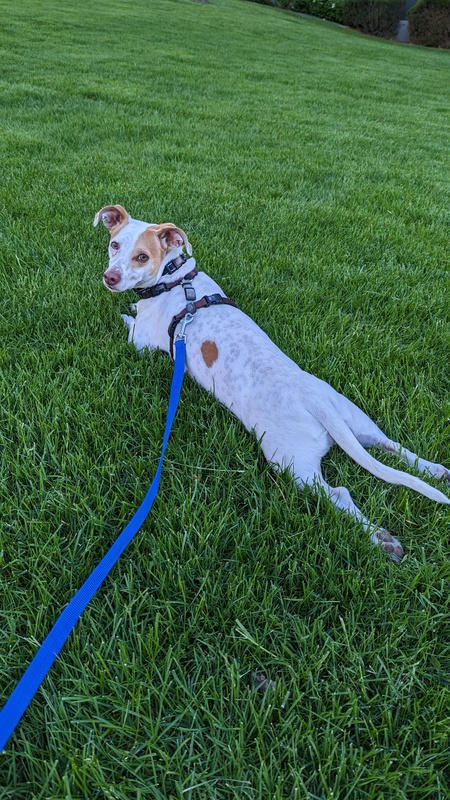 Entry image for Malcolm Reynolds . Clicking this image will show a larger photo