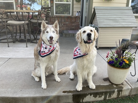 Entry image for Riley & Jake. Clicking this image will show a larger photo